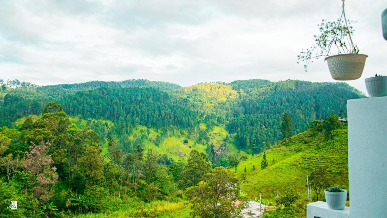 Wonder Mount Resort إيلا المظهر الخارجي الصورة